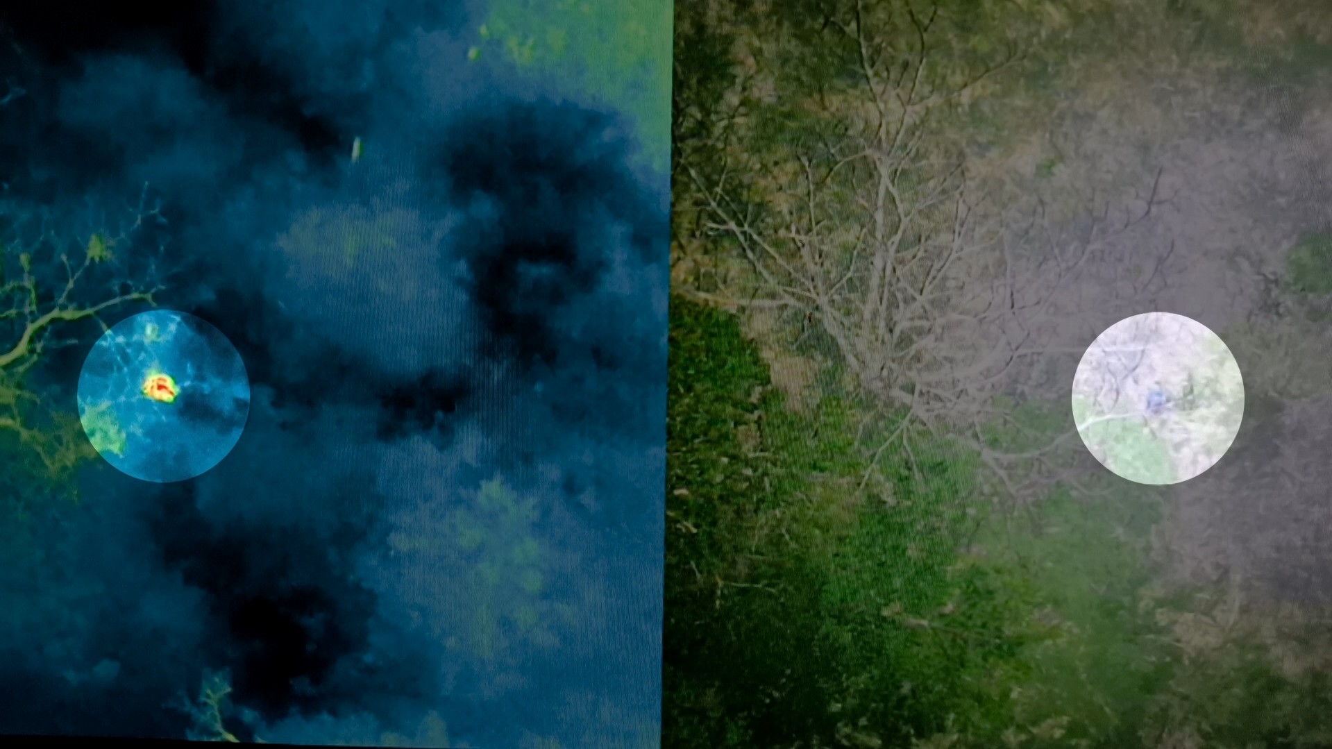 captura-de-tela-2024-10-28-092025