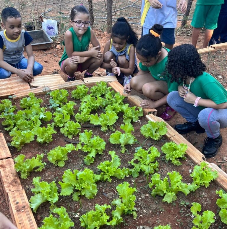 merenda5-mauro-fernando
