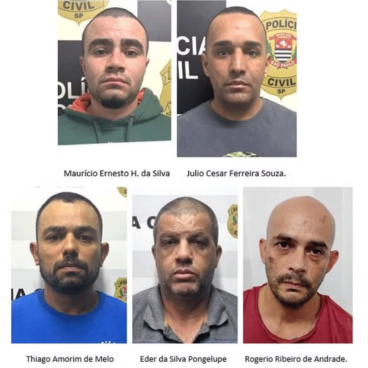 palmeirenses-acusados