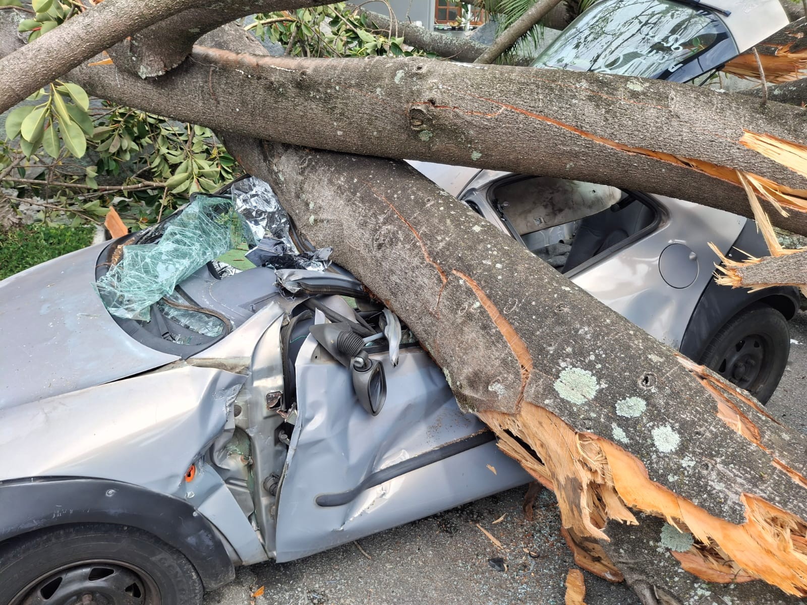 whatsapp-image-2025-10-29-at-174019