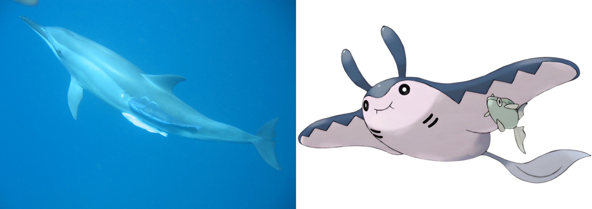 46cff4ca-1030-42b1-8fc1-d030a82ab2b0