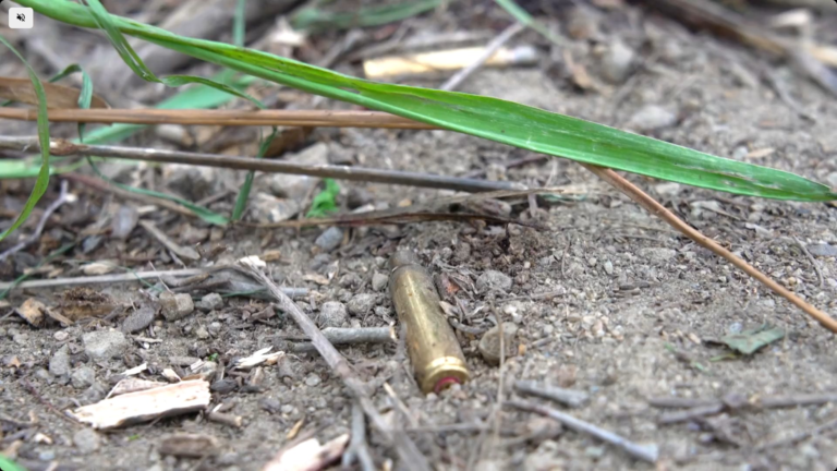 captura-de-tela-2025-11-03-075953