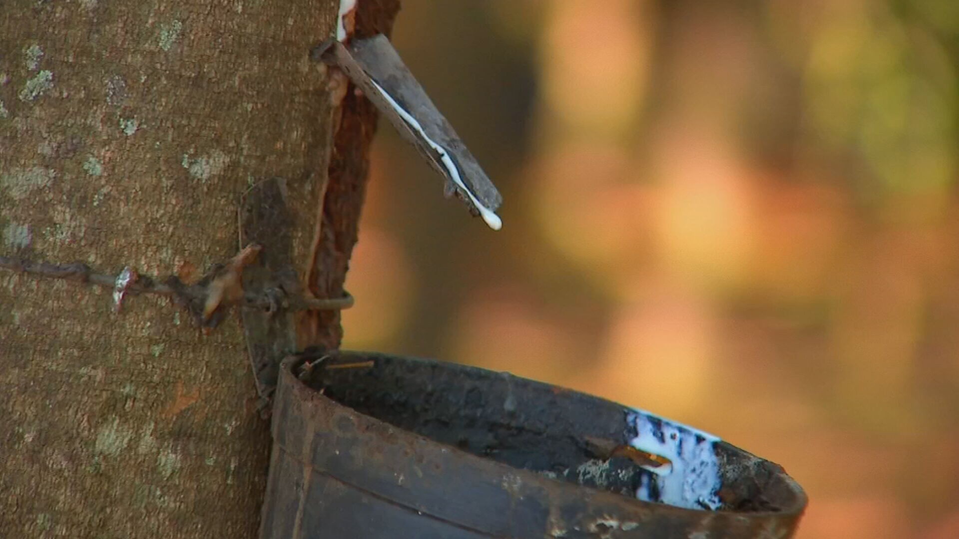 design-sem-nome-2025-10-30t085043237