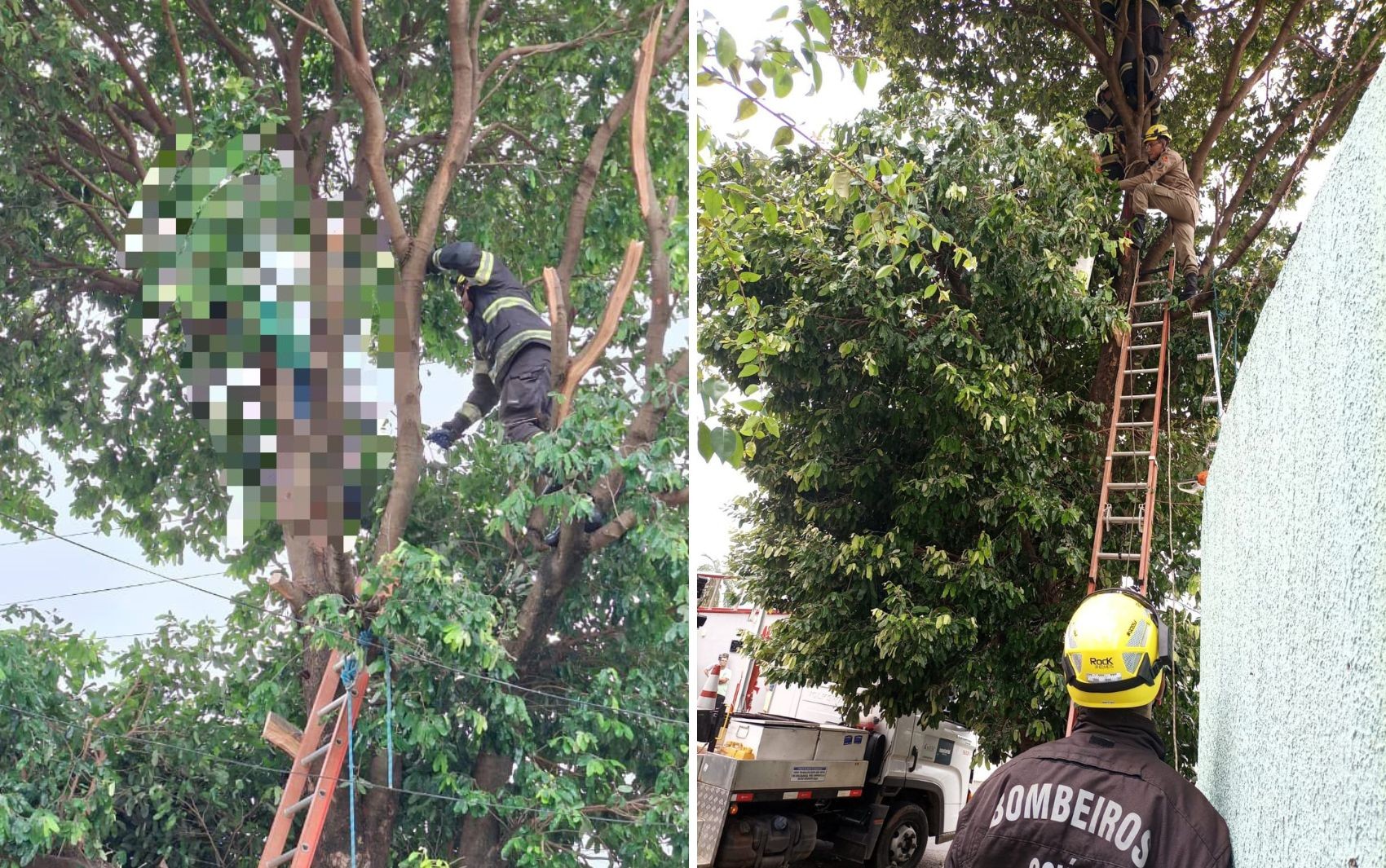 foto-caso-crianca-trilha-2025-11-10t064640977