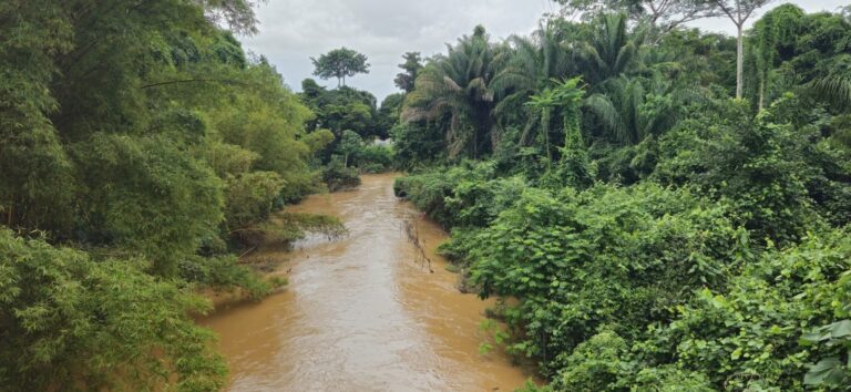 igarape-sao-francisco