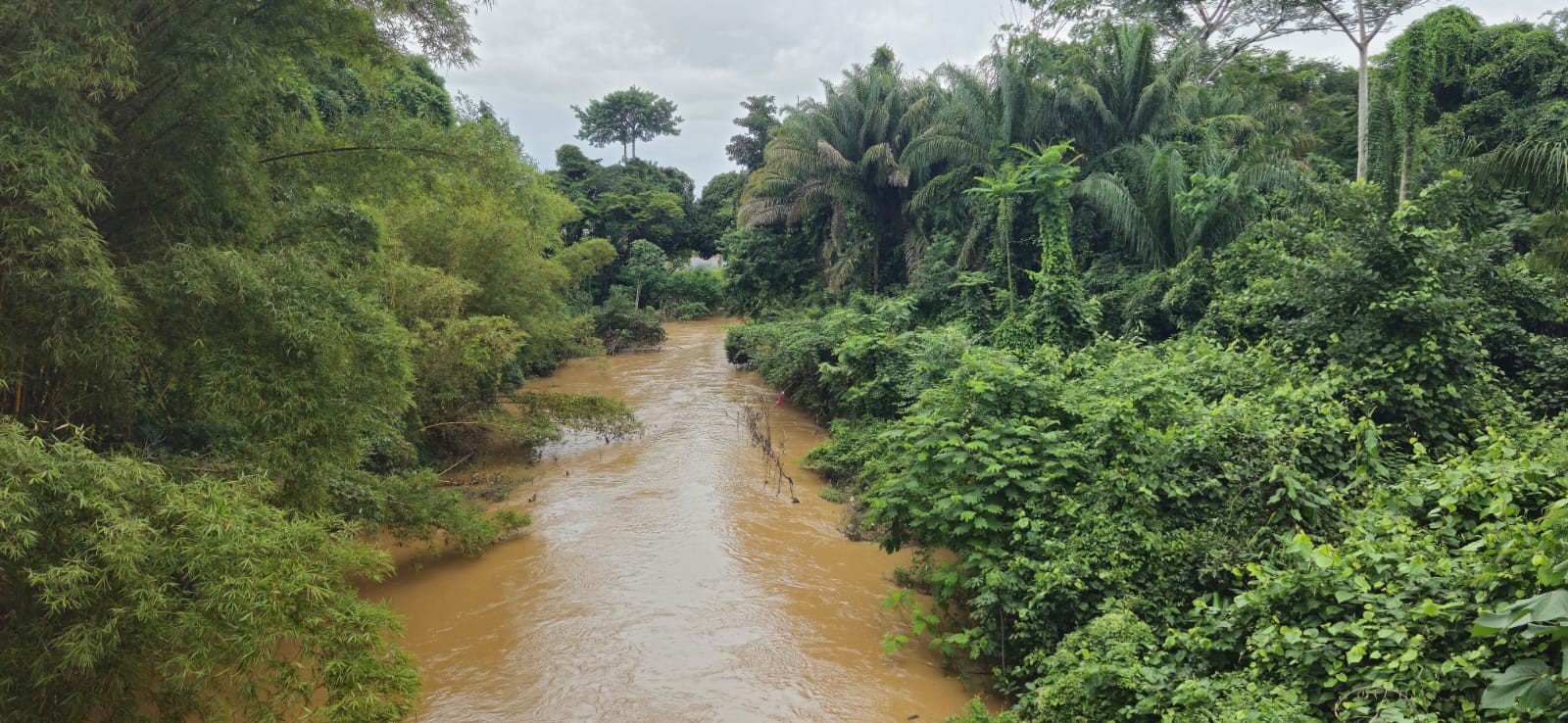 igarape-sao-francisco