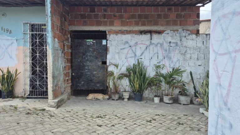 jacarezal-pacatuba-2-