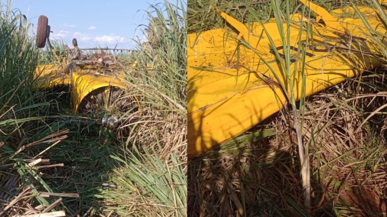 result-design-sem-nome-2-1-