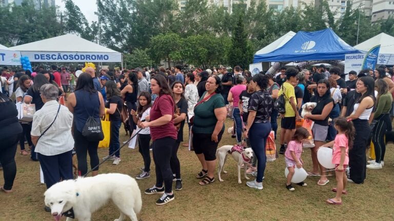 whatsapp-image-2024-11-03-at-112407