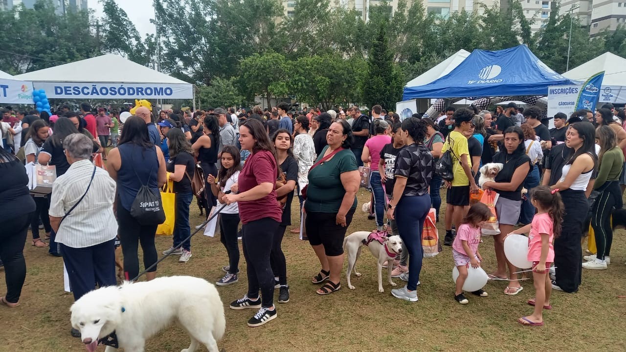 whatsapp-image-2024-11-03-at-112407