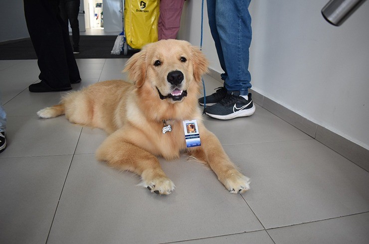 whatsapp-image-2025-04-30-at-131229