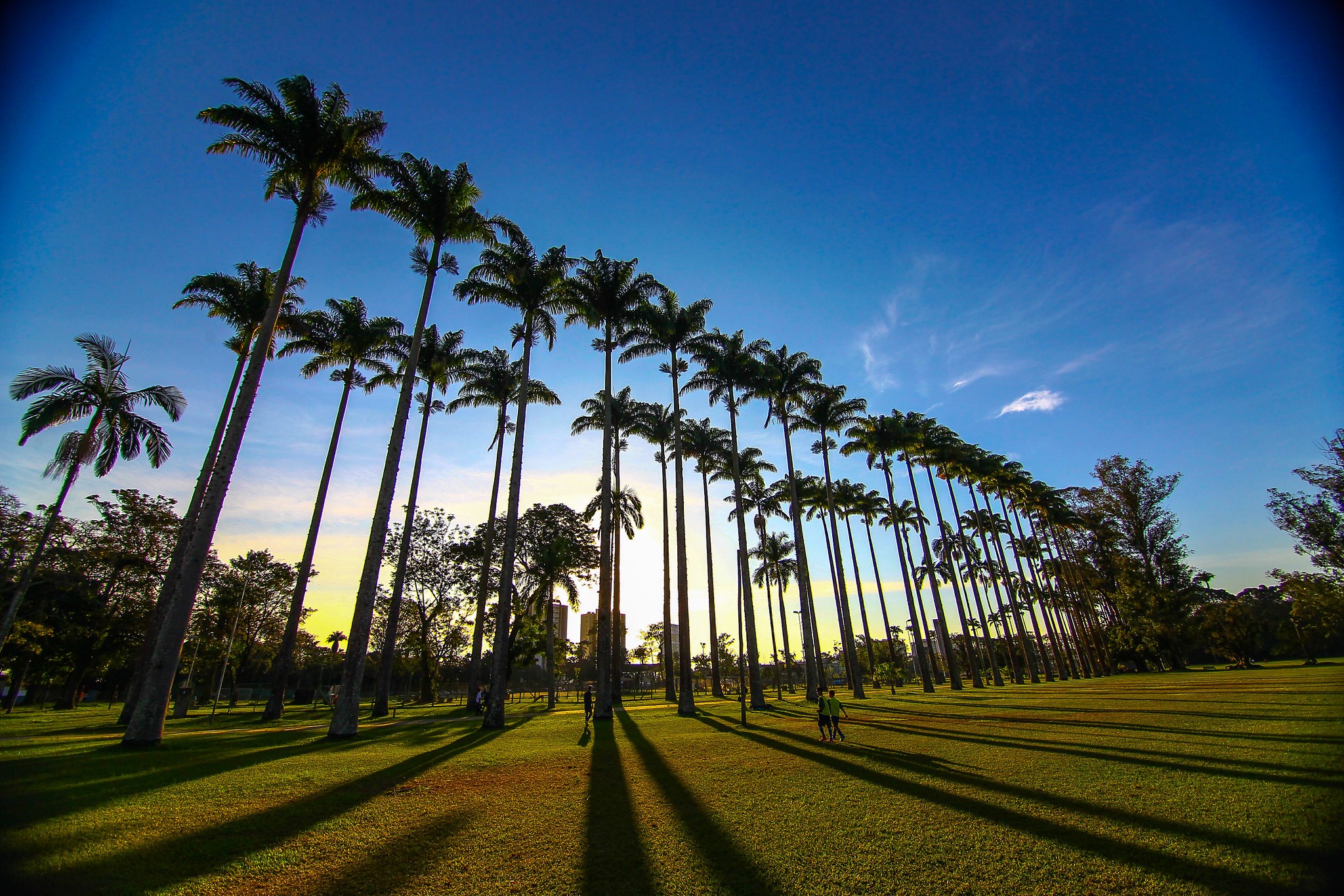 29624919628-5208201b30-k