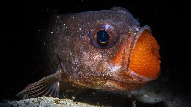 5ef58480-e105-11f0-a52d-7b10a9613822jpg