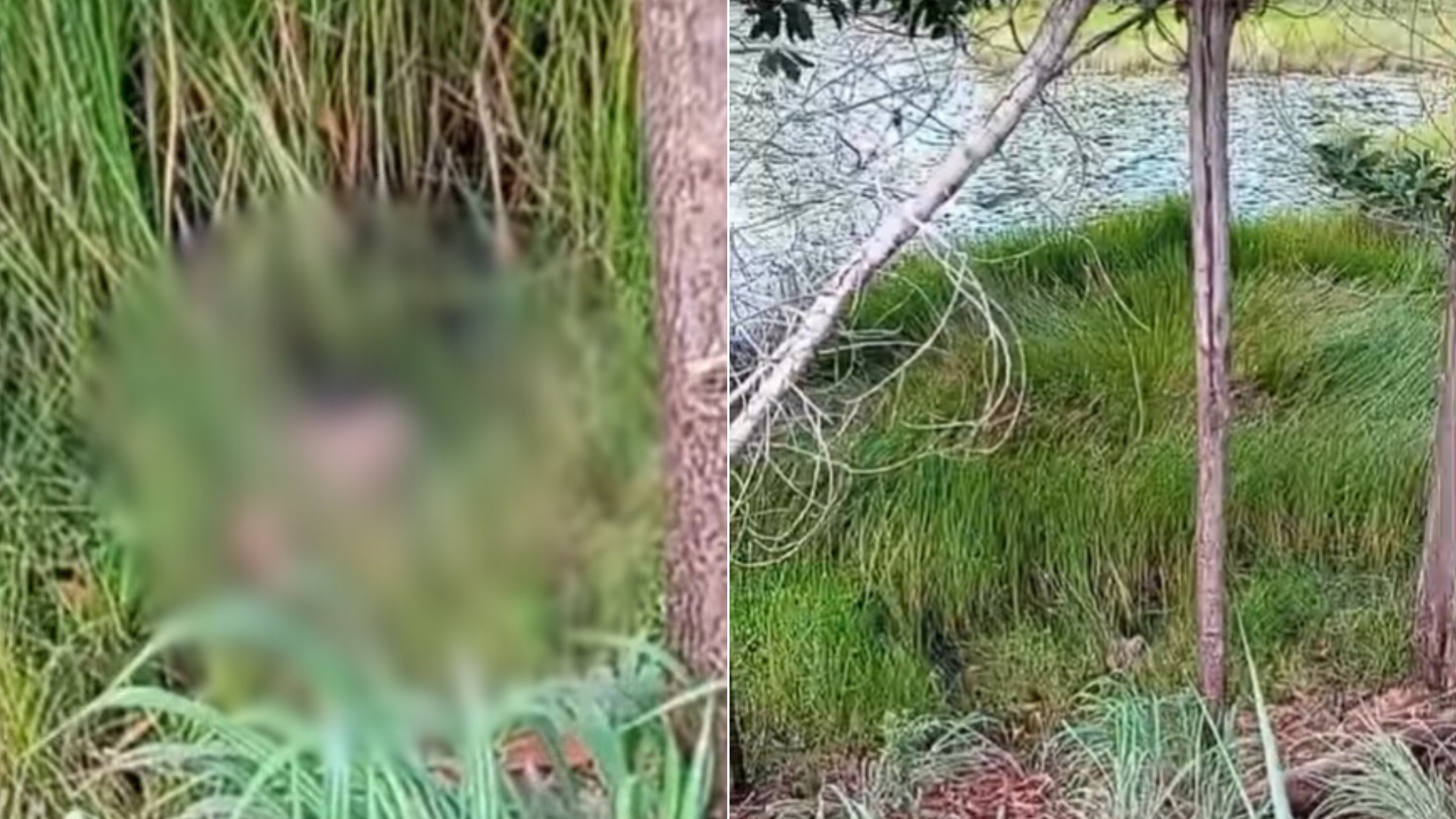 copia-de-montagens-1920-x-1080-px-