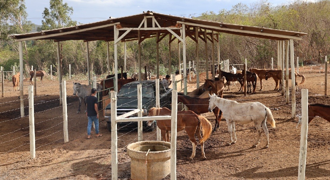 curral-foto-solon-queiroz-2-