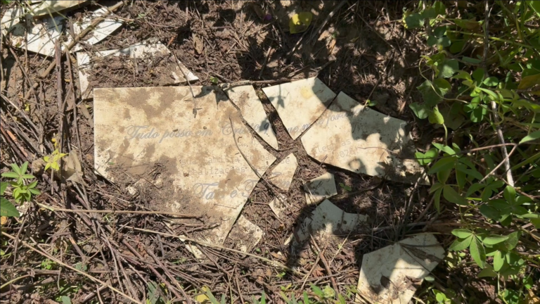 flixier-2025-12-19t16-59-40709z