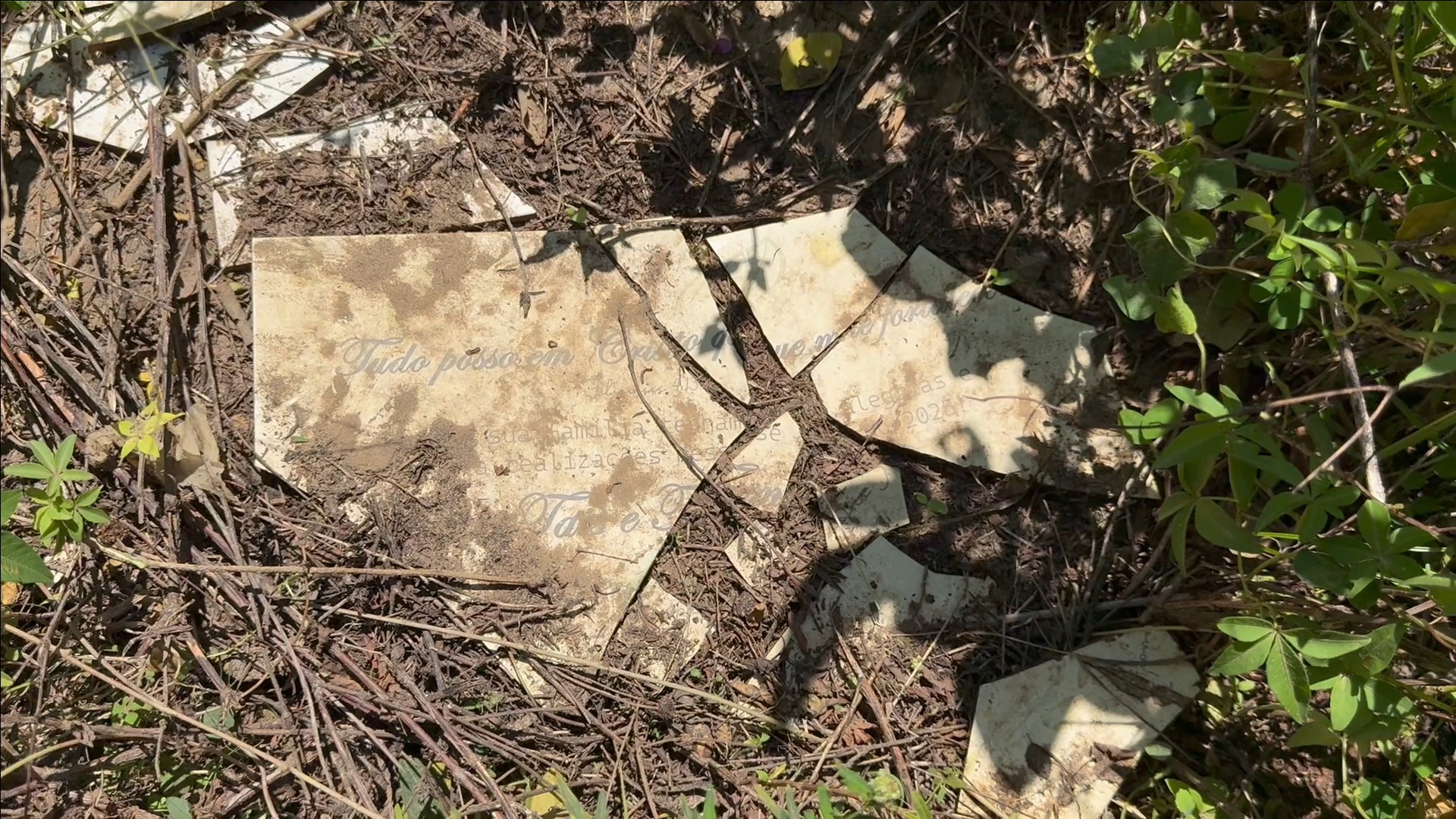 flixier-2025-12-19t16-59-40709z