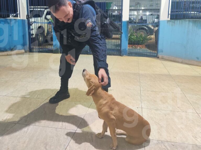 midia-de-distribuicao-g1-92-