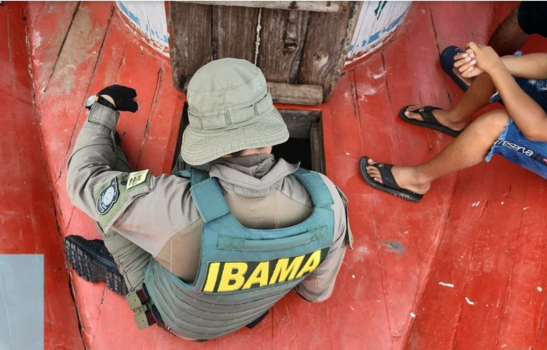 operacao-ibama-amazonas