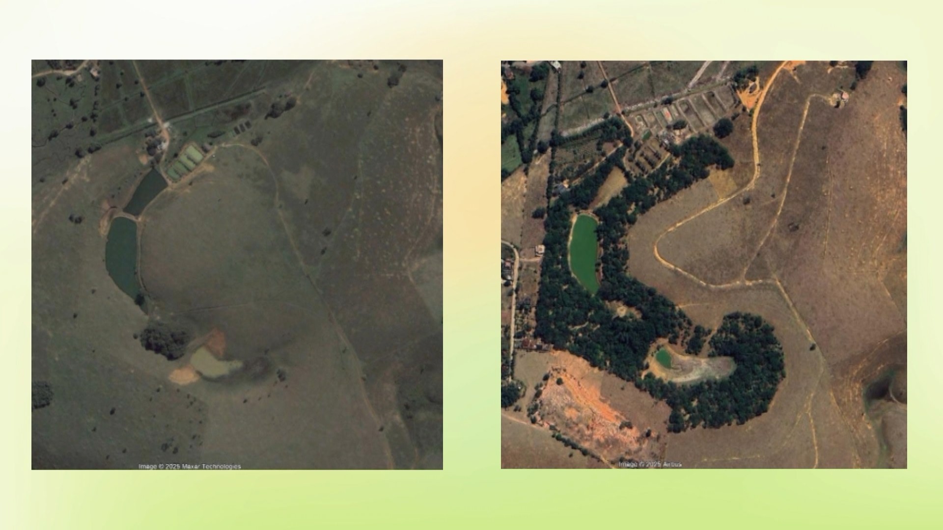 recuperacao-mata-atlantica-jc-28-09-25mov-snapshot-0101561