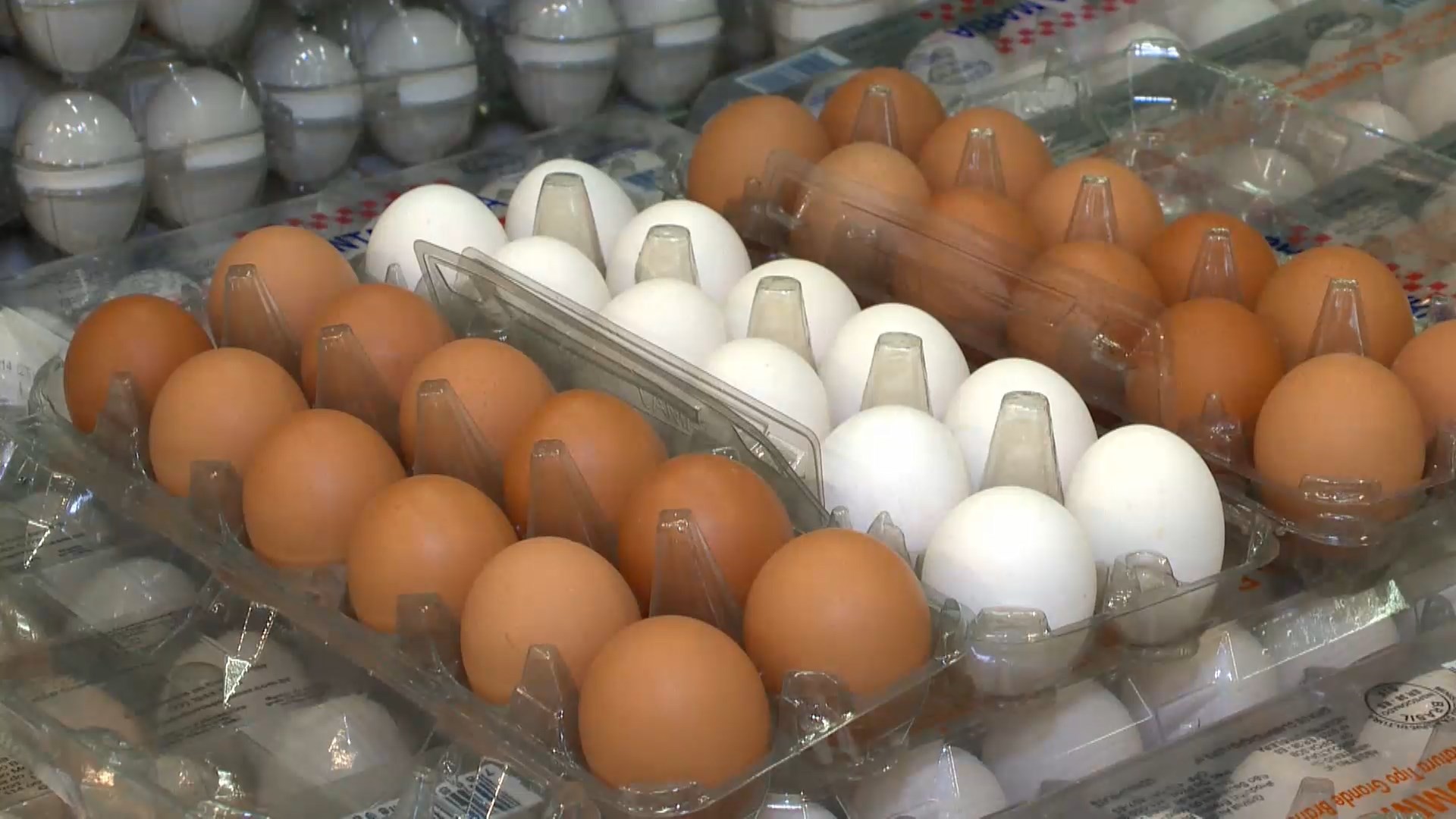 regional-preco-ovo-12-02-2025mp4-snapshot-0157238