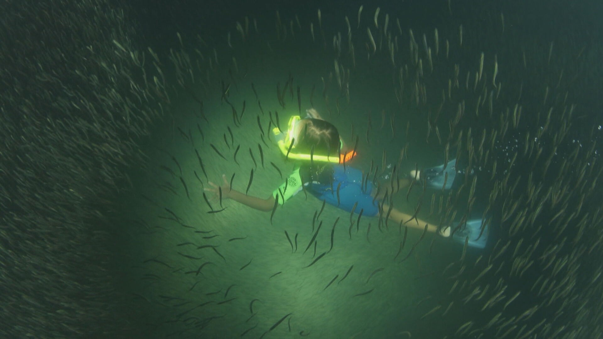 rj2-limpo-20251226-1830-frame-117884