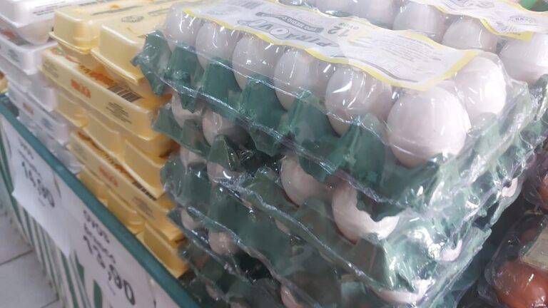 whatsapp-image-2023-10-01-at-124836-1-