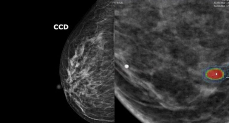 whatsapp-image-2025-10-09-at-202440