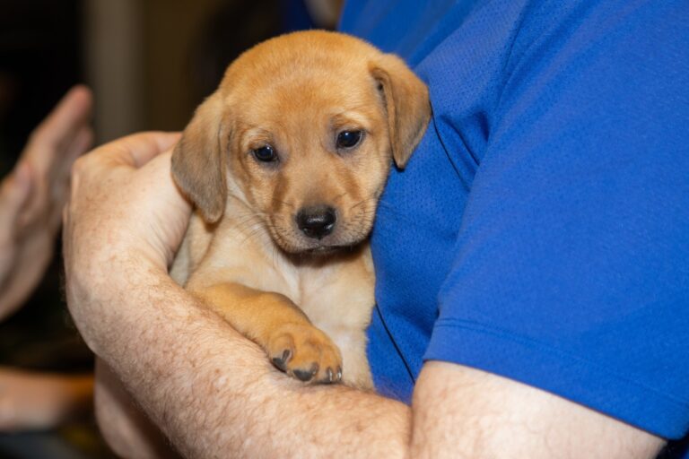 whatsapp-image-2025-11-29-at-103243