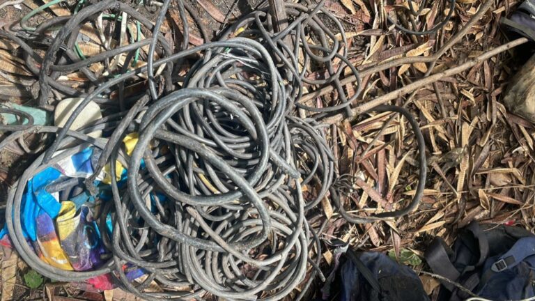 whatsapp-image-2025-12-08-at-171559