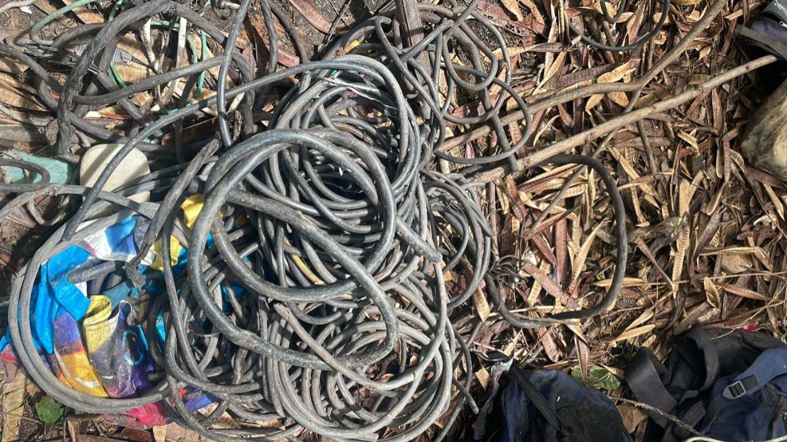 whatsapp-image-2025-12-08-at-171559