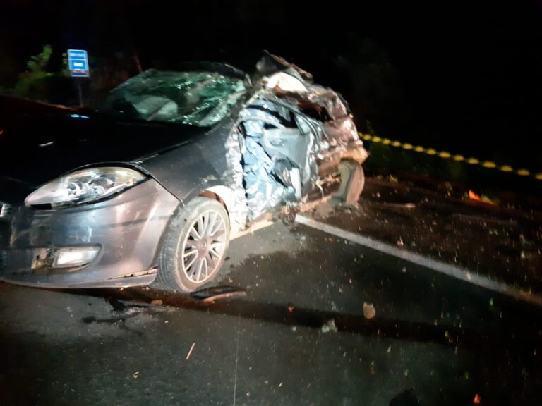 whatsapp-image-2025-12-11-at-005737-1-