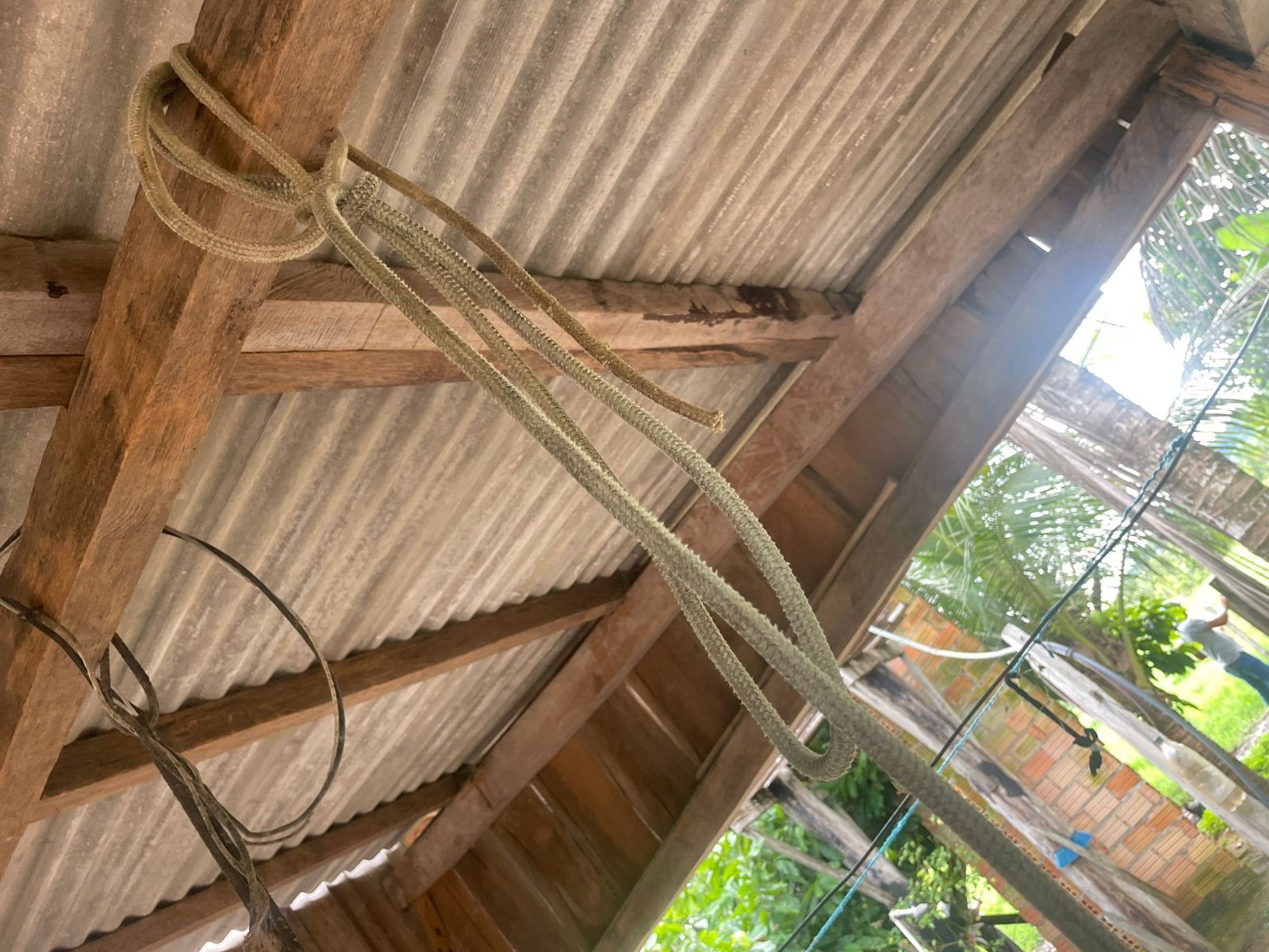 whatsapp-image-2025-12-26-at-183035