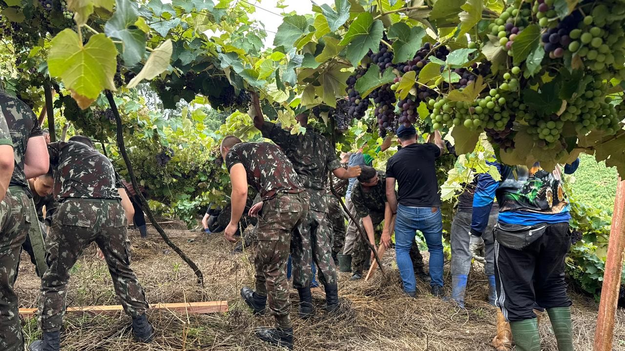 whatsapp-image-2025-12-30-at-090001